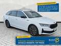 Skoda Octavia Combi 1.5 eTSI DSG Sportline AHK 4J.Gar. Белый - thumbnail 1