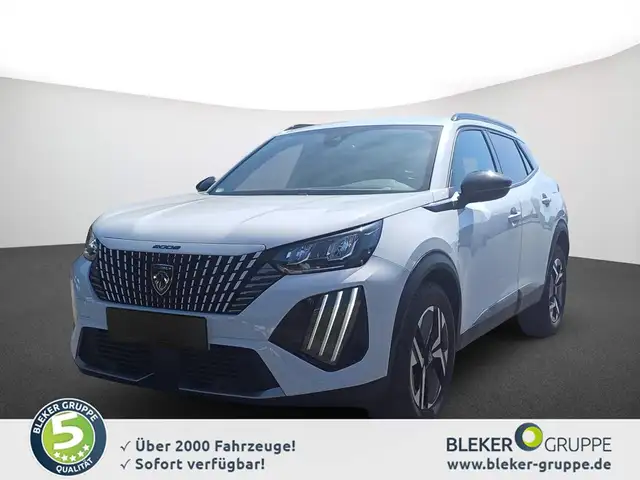 Peugeot 2008 main image