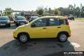 Fiat Panda Panda Hybrid  1.0 GSE 51kw (70PS) Jaune - thumbnail 8