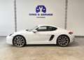 Porsche Cayman 2.0T PDK - Cruise, PDC, Bi-Xenon, AppleCP, 20", .. White - thumbnail 7