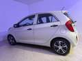 Kia Picanto 1.0 12V 5 porte City Beige - thumbnail 8