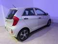 Kia Picanto 1.0 12V 5 porte City Beige - thumbnail 10