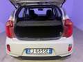 Kia Picanto 1.0 12V 5 porte City Beige - thumbnail 11