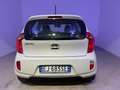 Kia Picanto 1.0 12V 5 porte City Beige - thumbnail 9
