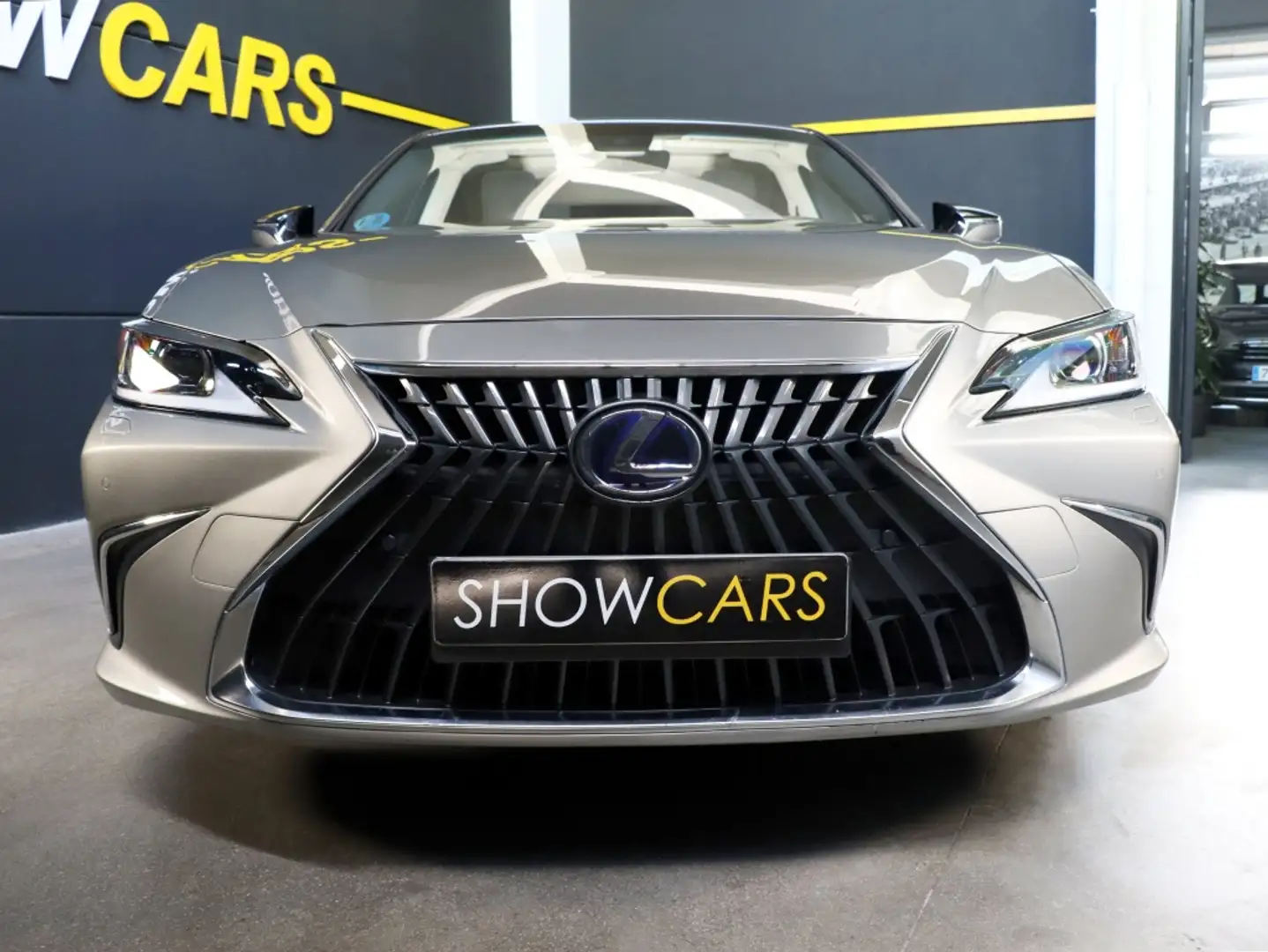 Lexus ES 300 300h Premium Beige - 2