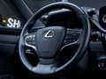 Lexus ES 300 300h Premium Beige - thumbnail 29