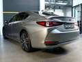 Lexus ES 300 300h Premium Beige - thumbnail 32