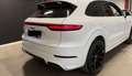 Porsche Cayenne E-Hybrid Platinum Edition - thumbnail 6