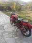 Moto Guzzi Airone Rouge - thumbnail 6