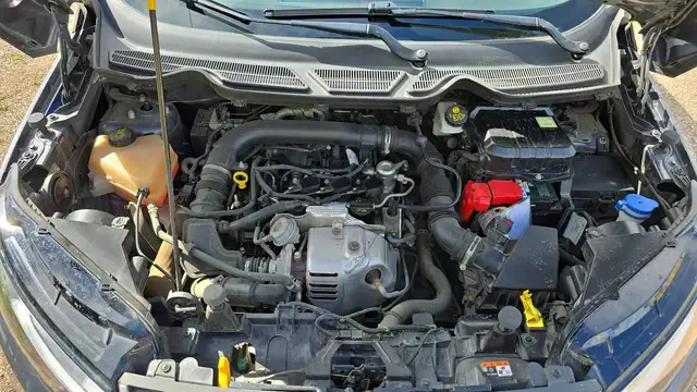 Ford Ecosport view 15