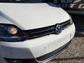 Volkswagen Golf Plus Golf Plus 1.4 TSI Highline Weiß - thumbnail 9
