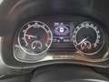 Skoda Fabia Combi Best of 1.0 TSI LED PDC Navi Klima Grau - thumbnail 12