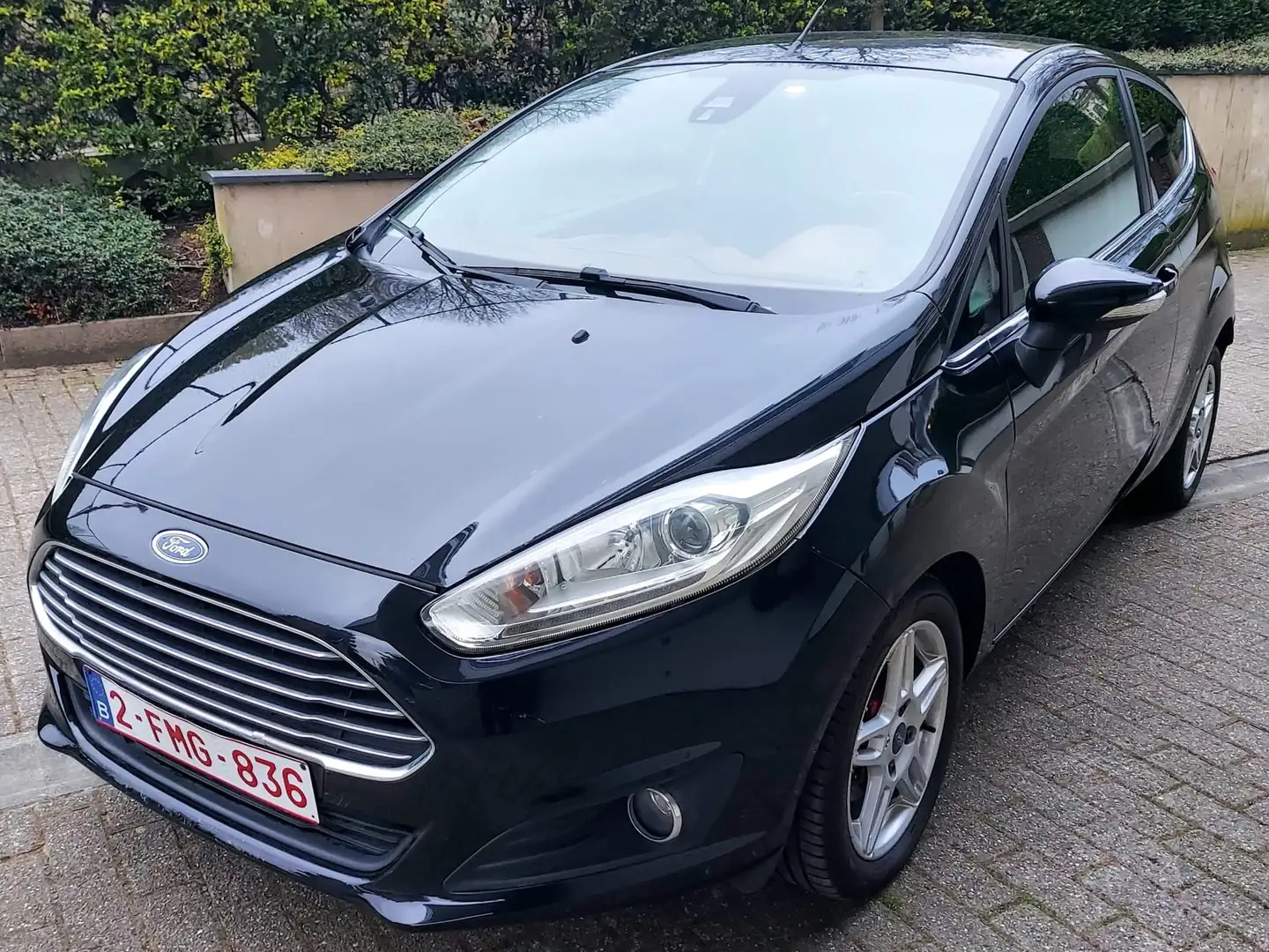 Ford Fiesta Fiesta 1.0 EcoBoost Titanium S/S Zwart - 1