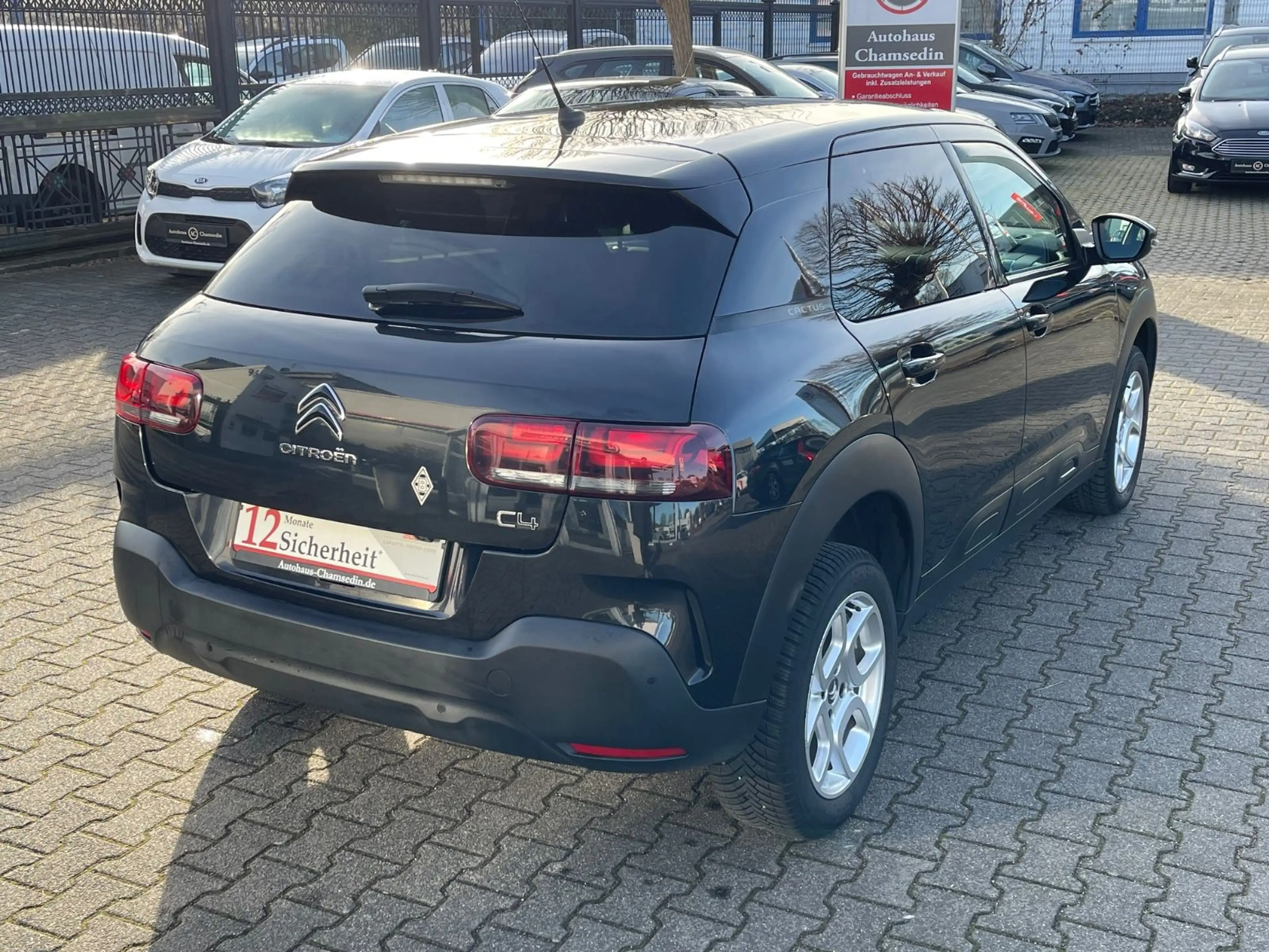 Citroen C4 Cactus Shine — photo 6