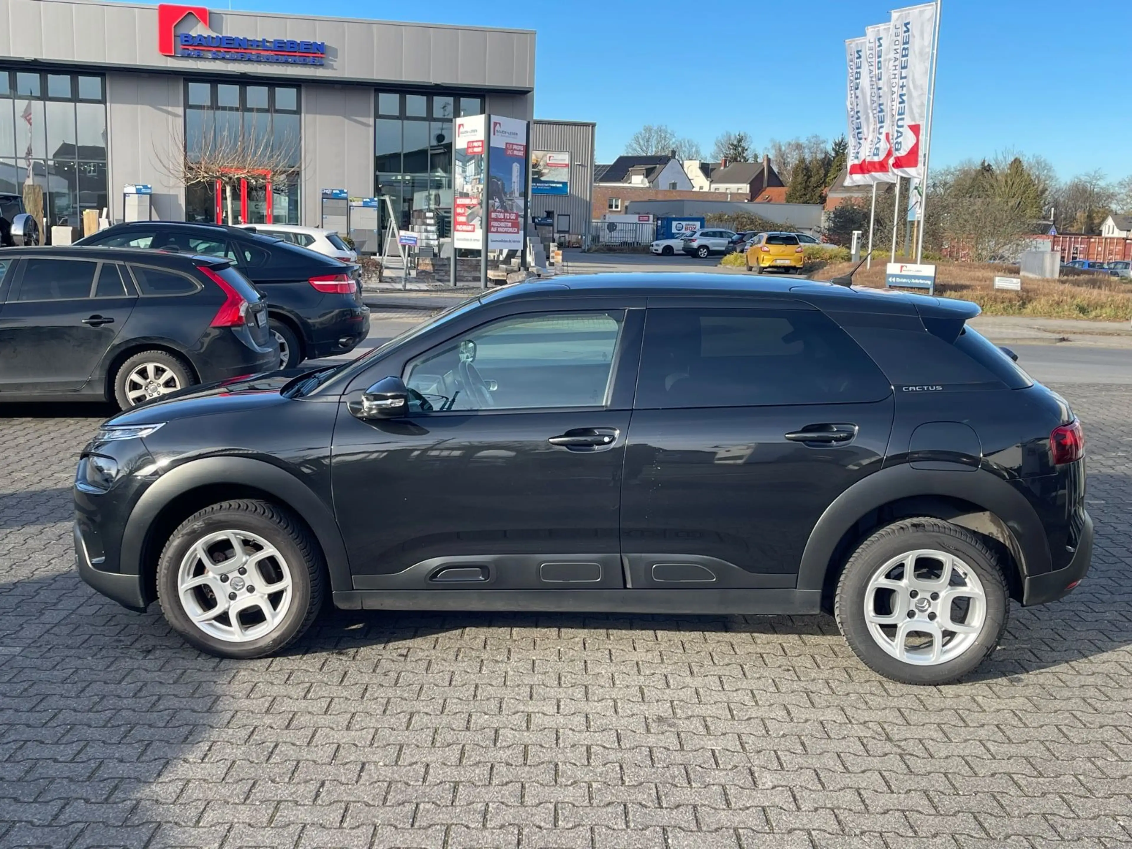 Citroen C4 Cactus Shine — photo 3