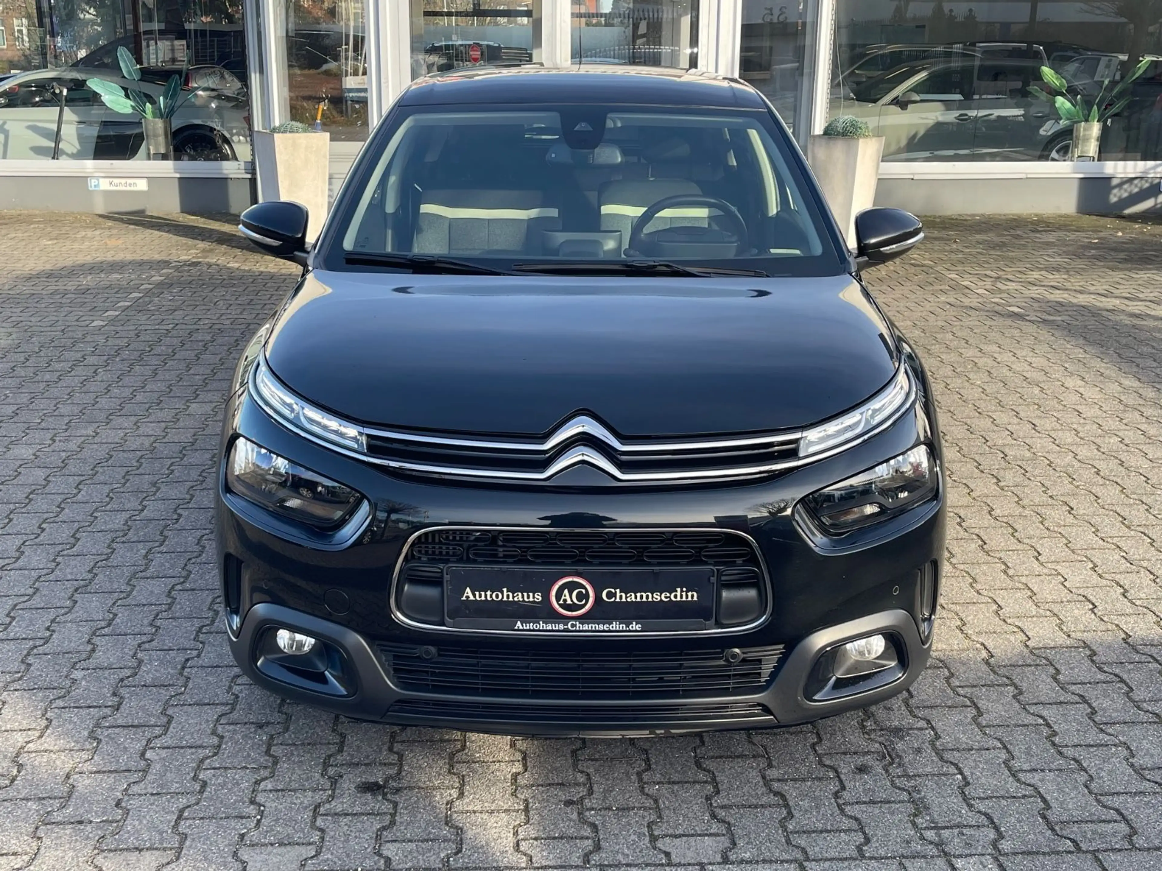 Citroen C4 Cactus Shine