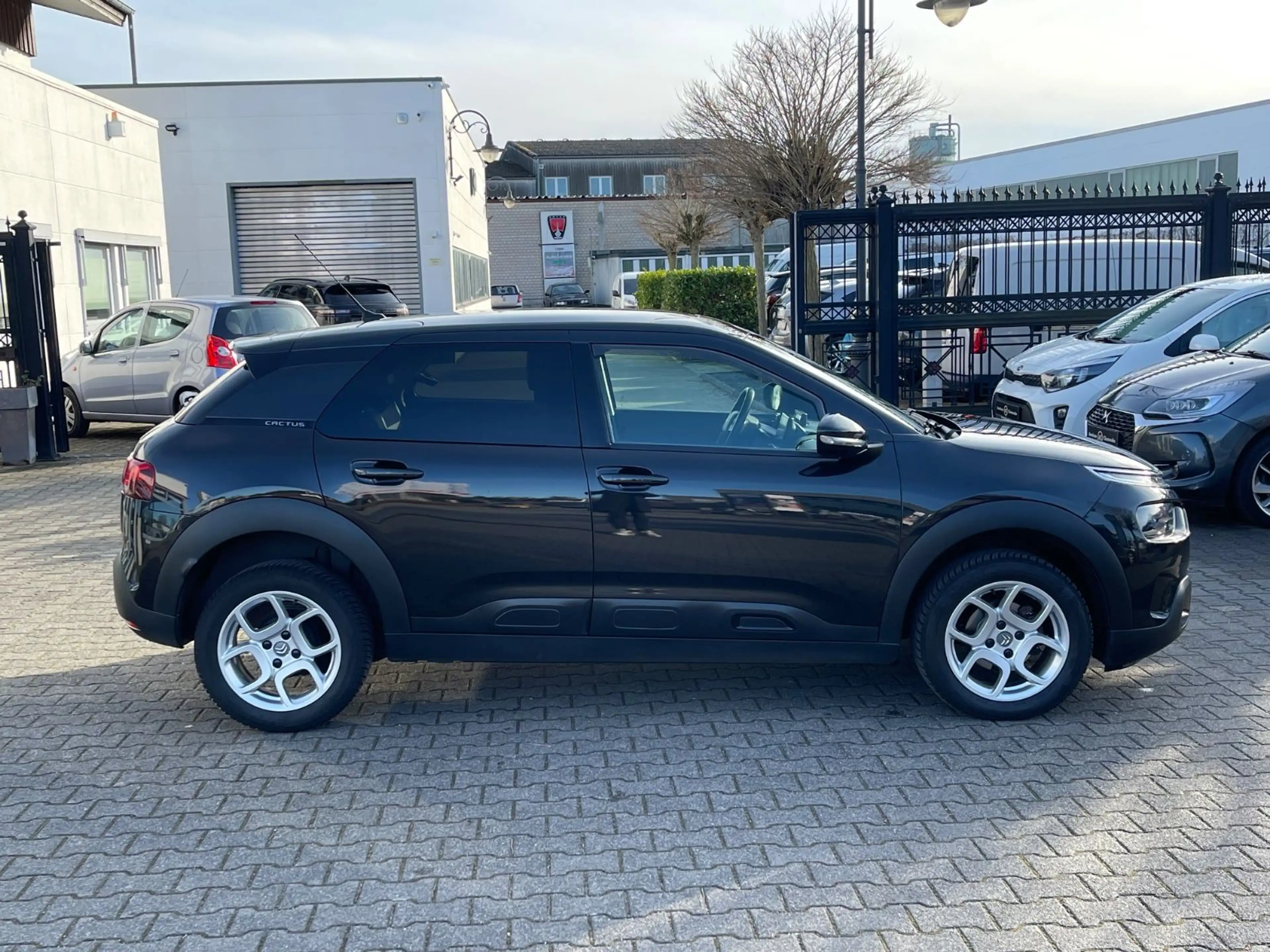 Citroen C4 Cactus Shine — photo 7