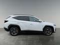 Hyundai TUCSON NX4 Jubile 1,6 T-GDi HEV 4WD AT Weiß - thumbnail 6