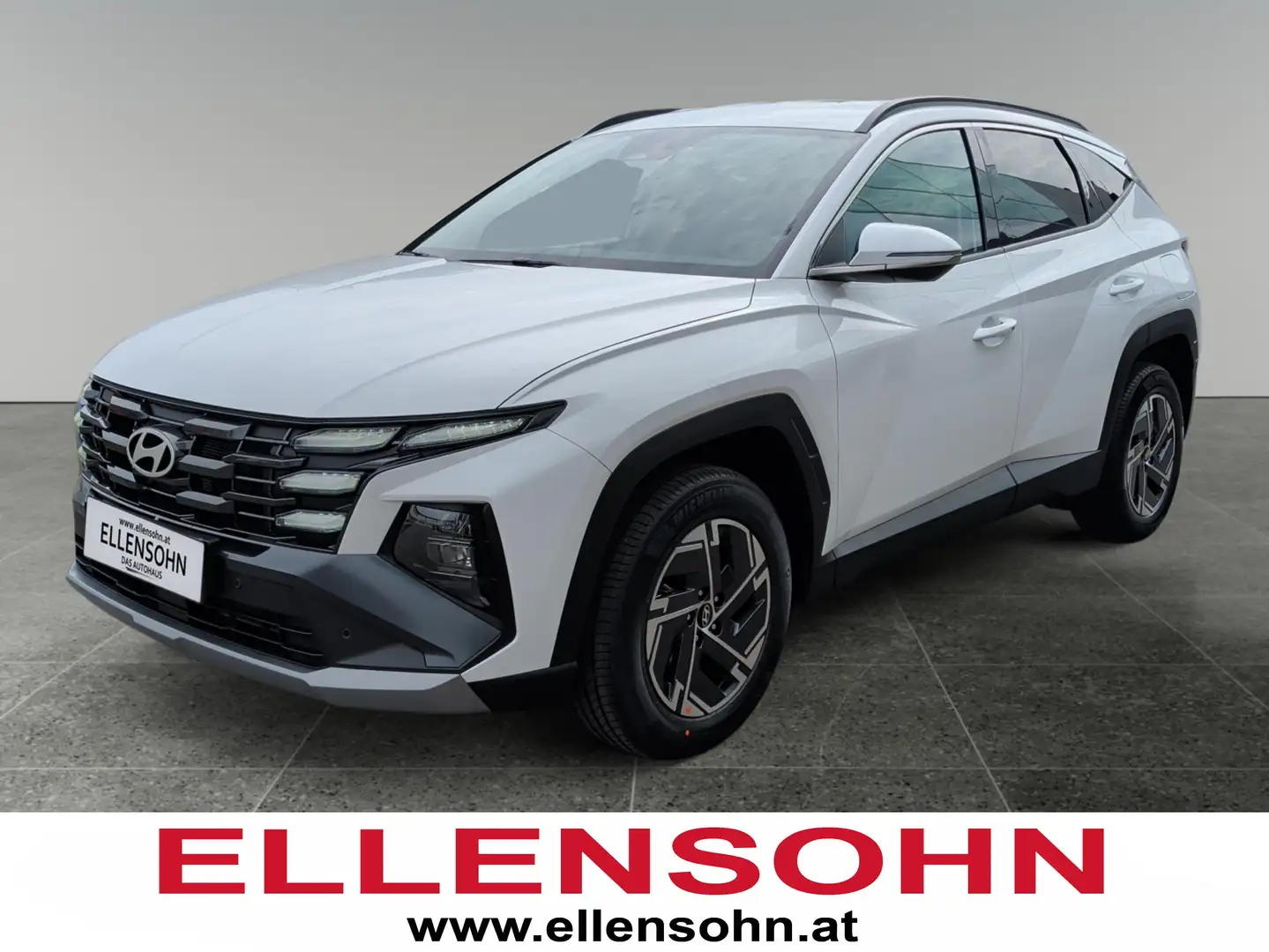 Hyundai TUCSON NX4 Jubile 1,6 T-GDi HEV 4WD AT Weiß - 1