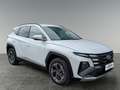 Hyundai TUCSON NX4 Jubile 1,6 T-GDi HEV 4WD AT Weiß - thumbnail 7