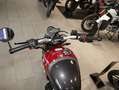 Triumph sofort verfügbar Rot - thumbnail 8
