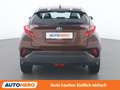Toyota C-HR 1.8 Hybrid C-ENTER Braun - thumbnail 5