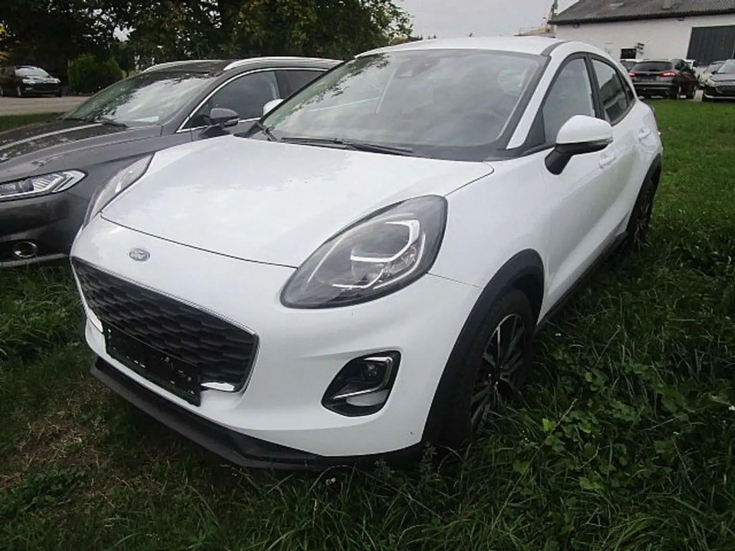 Ford Puma 1,0 EcoBoost Cool & Connect Weiß - 1