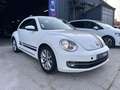 Volkswagen Coccinelle 1.2 TSI 105ch FENDER EDITION VINTAGE Wit - thumbnail 3
