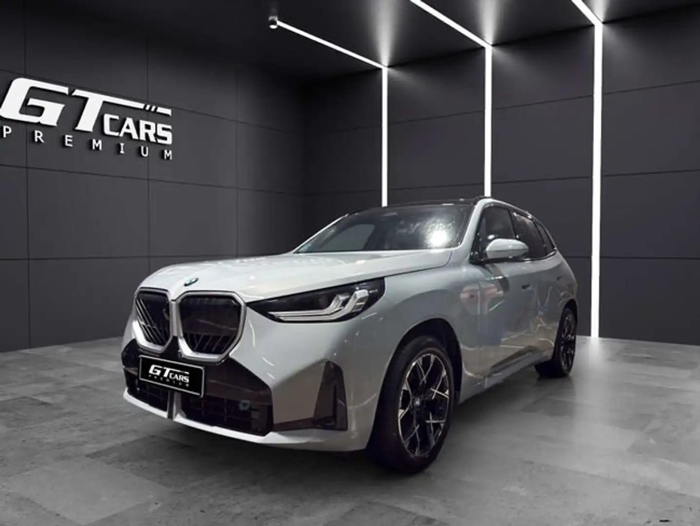 BMW X3 20d Xdrive Gris - 1