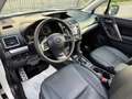 Subaru Forester Sport//*PANORAMA*//*LEDER*// Weiß - thumbnail 12