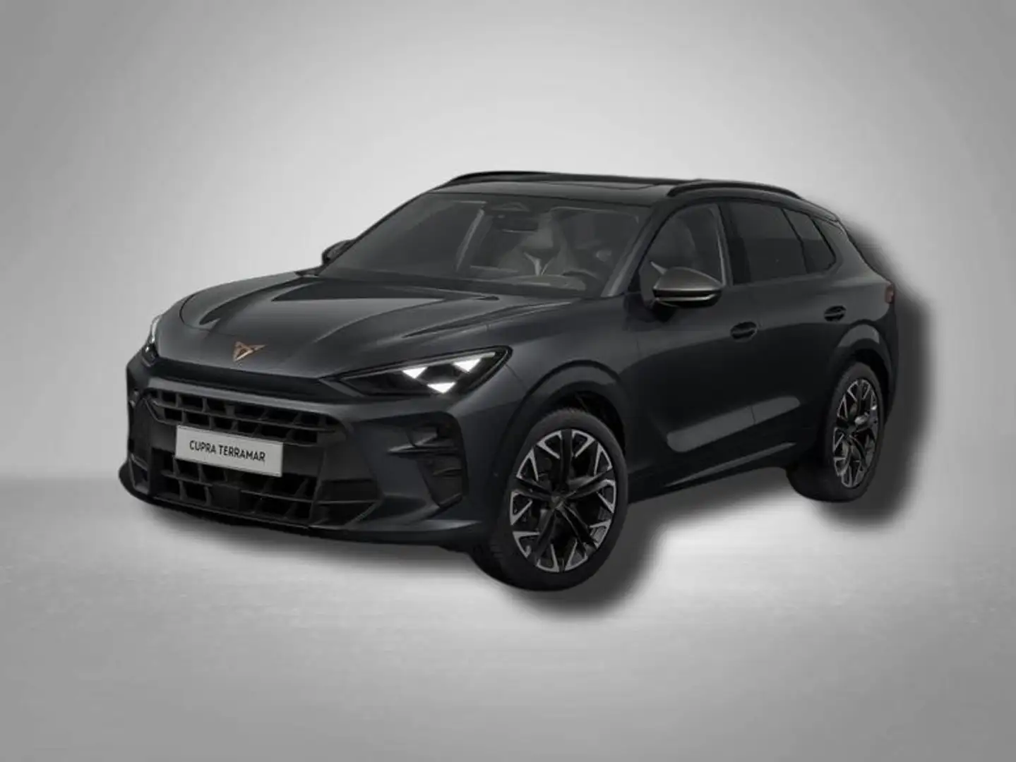 CUPRA Terramar VZ 2.0 TSI 195 kW (265 PS) 7-Gang DSG 4Drive 19... Grau - 1