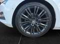 Skoda Superb Kombi 2,0 TDI Style DSG Blanc - thumbnail 9