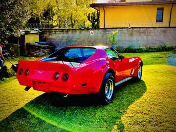 Stingray Ttop
