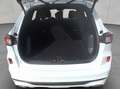 Ford Kuga 2.5 Duratec PHEV ST-LINE Wit - thumbnail 6