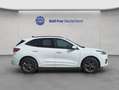 Ford Kuga 2.5 Duratec PHEV ST-LINE Wit - thumbnail 8