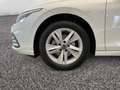 Volkswagen Golf VIII Life 1.5 TSI *LED*NAVI*SHZ*PDC*ALU*TEL Weiß - thumbnail 5