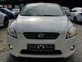 Kia Ceed / cee'd Kia ProCeed 1,6 "Vision" Weiß - thumbnail 5