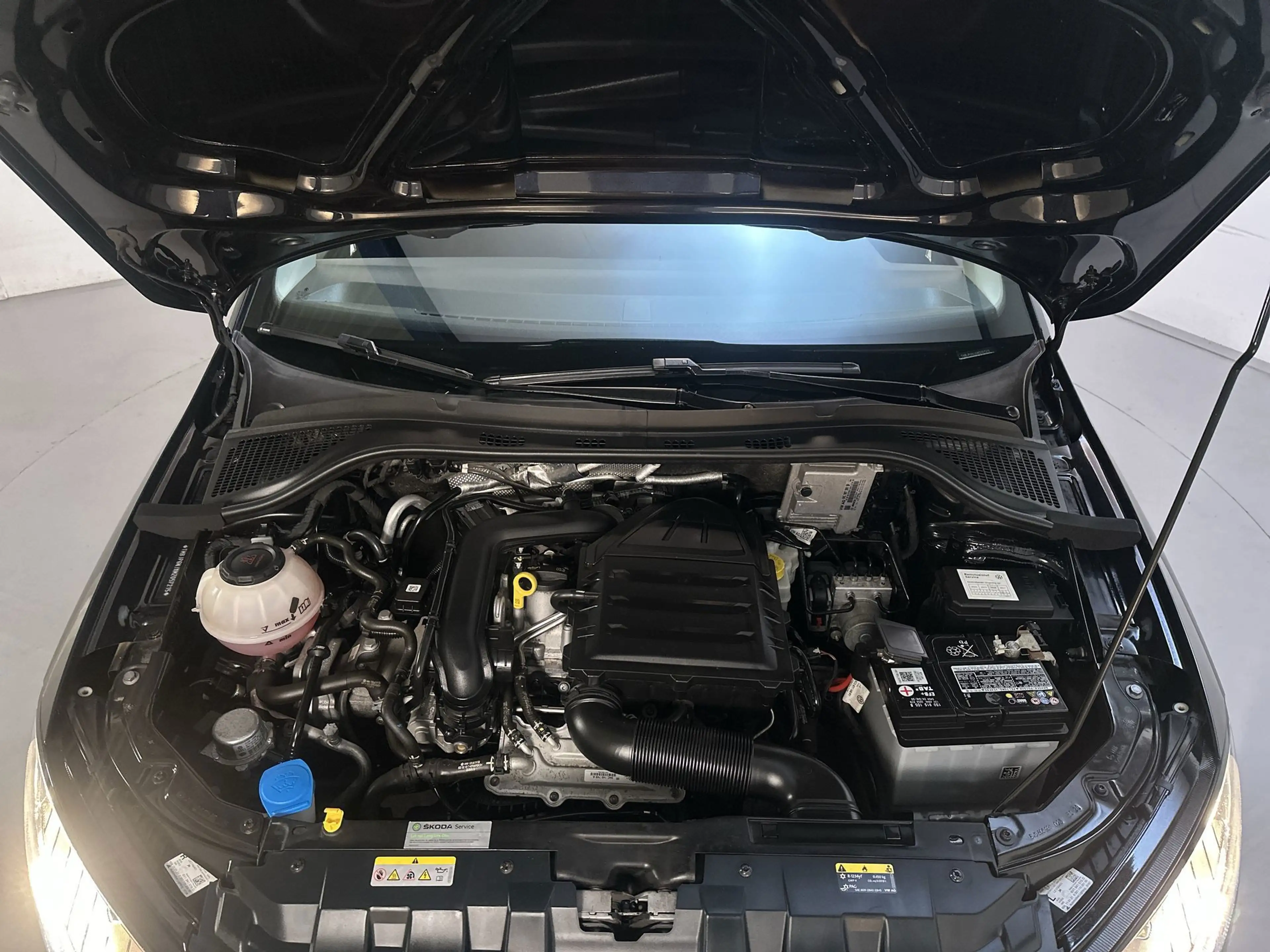 Skoda Fabia Combi 1.0 TSI DSG Ambition Climate Control Parkeer — photo 17