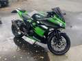 Kawasaki Ninja 300 Grün - thumbnail 2