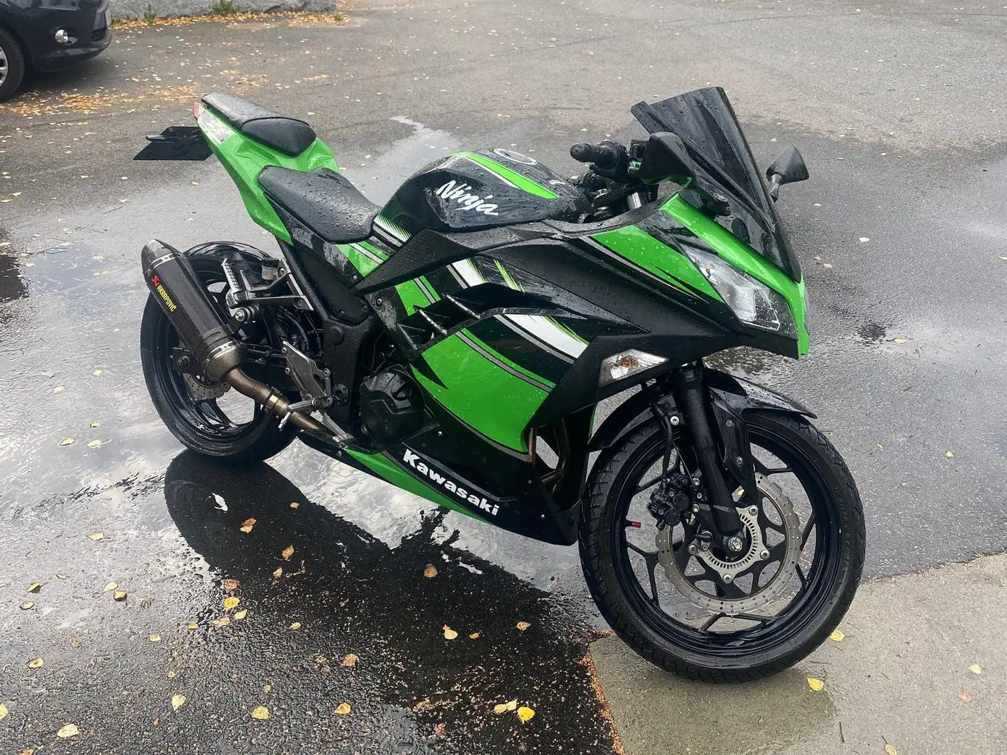 Kawasaki Ninja 300 Grün - 2