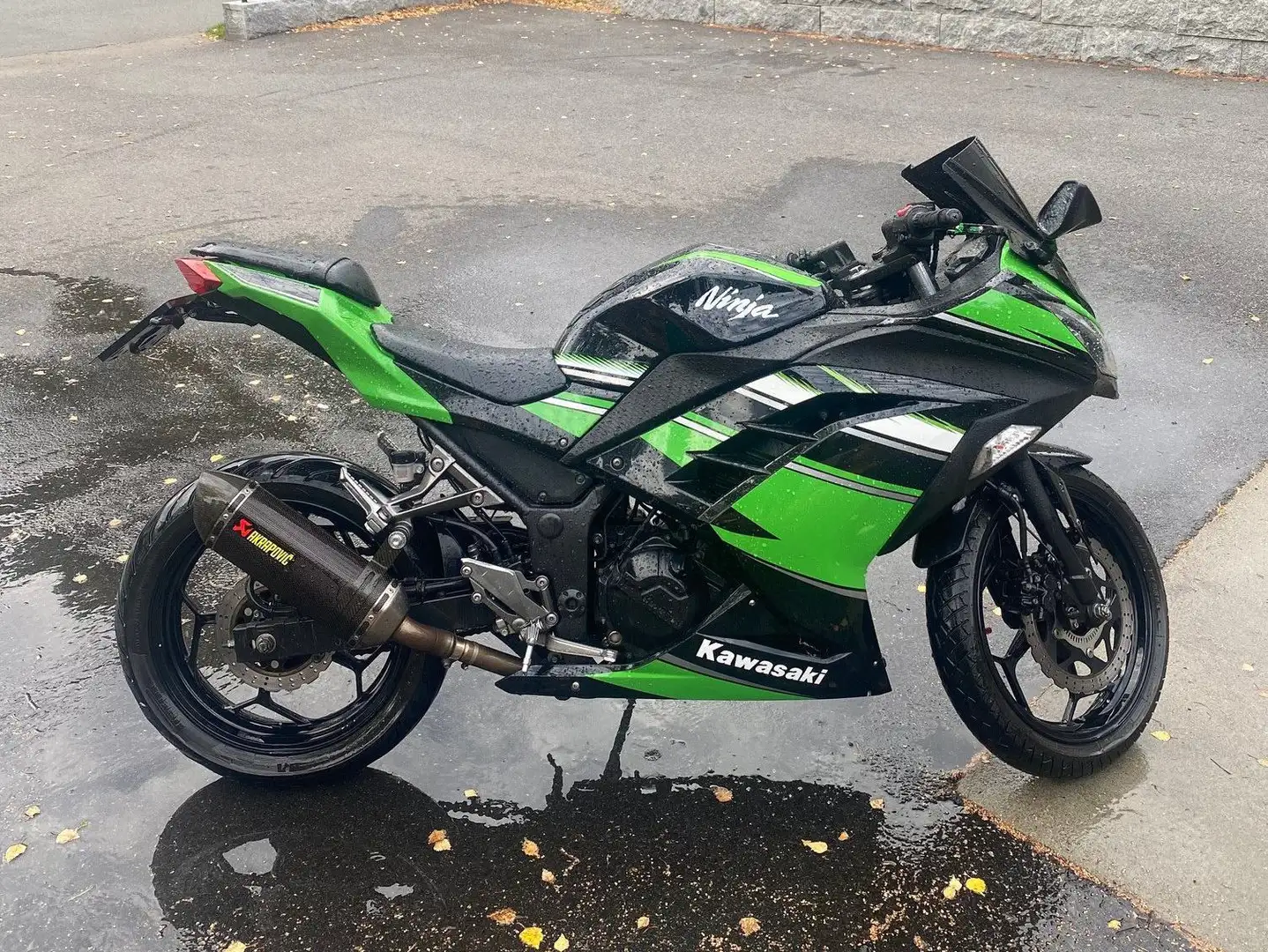 Kawasaki Ninja 300 Grün - 1