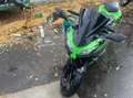 Kawasaki Ninja 300 Grün - thumbnail 4