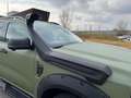 Ford Ranger Ranger Doppelkabine Wildtrak e-4WD 3,0 V6 240 P... Verde - thumbnail 14