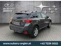 Subaru XV 1,6i Style Xtra CVT Grau - thumbnail 4