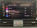 Audi SQ5 TDI Q UPE100 LM21 LEDER PANO MATRI Grau - thumbnail 13