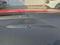 Ford Focus 1.0 Ecoboost MHEV ST-Line 125 Rojo - thumbnail 19