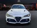 Alfa Romeo Giulia GTAM 2.9T V6 397kW (540CV)  AT GTAM Blanc - thumbnail 2