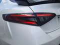 Alfa Romeo Giulia GTAM 2.9T V6 397kW (540CV)  AT GTAM Blanc - thumbnail 16