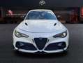 Alfa Romeo Giulia GTAM 2.9T V6 397kW (540CV)  AT GTAM Blanco - thumbnail 2