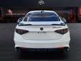Alfa Romeo Giulia GTAM 2.9T V6 397kW (540CV)  AT GTAM Blanco - thumbnail 5